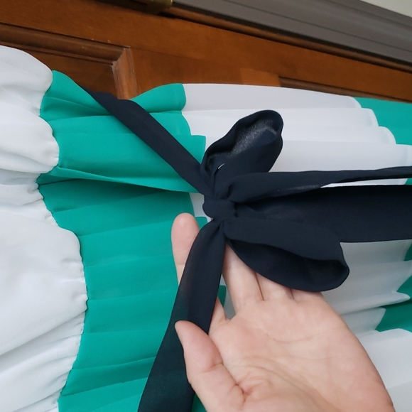 Banana Republic x Milly Maxi Pleated Dress - Picture 8 of 10